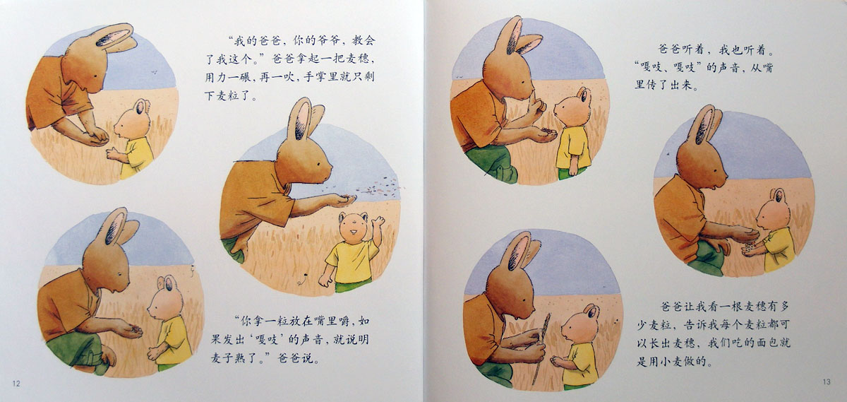 汤姆去农场 (07),绘本,绘本故事,绘本阅读,故事书,童书,图画书,课外阅读